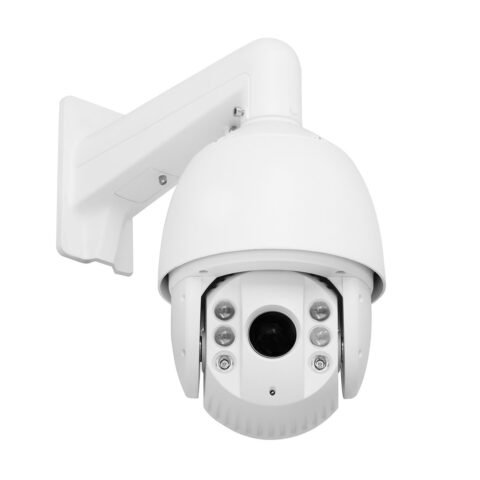 Woman Cutton T-shirt